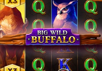 Автомат Big Wild Buffalo в Vulkan Stars Casino
