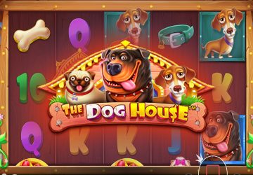 Слот The Dog House в Vulkan Stars Casino